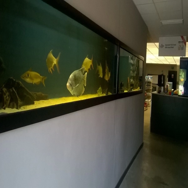 Aquarium Plumbing Shop Entrance